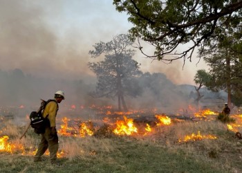 Magdalena Durfee Bolander Prescribed Fire Photo