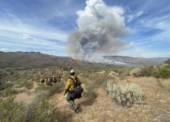 Firefighters approaching wildfire
