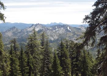 Jagged mountain tops and evergreen trees are shown.