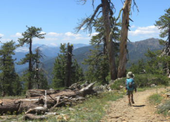 Individual walking through the wilderness, on the Sierra National Forest