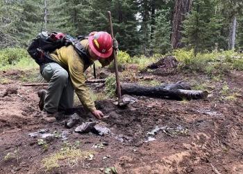 A firefighter checking for heat spot on the ground.