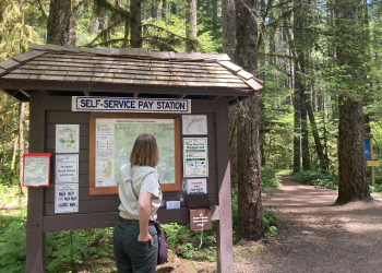 A Forest Service employee surveys a bulletin board at a day use area