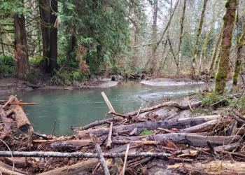 logs jam water flow
