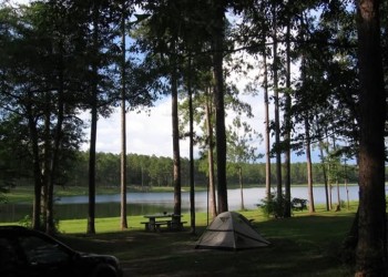 Camping in National Forests in Alabama