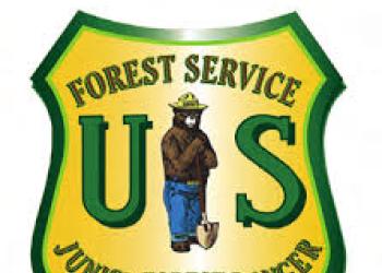 shield for the junior forest ranger program