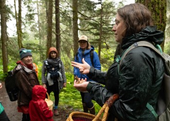 Guided hike at Girdwood Fungus Fair