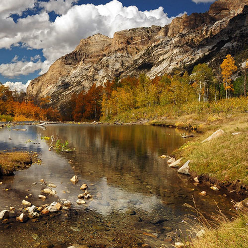 Reflective stream waters with fall colors and mountains in national forests in Nevada and California