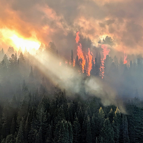  A mountain landscape on fire.