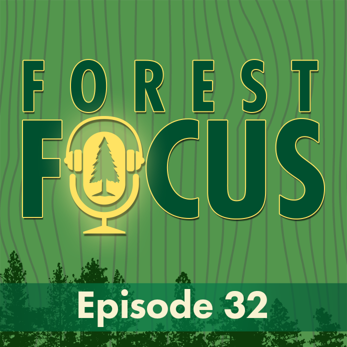 Forest Focus Episode 32.