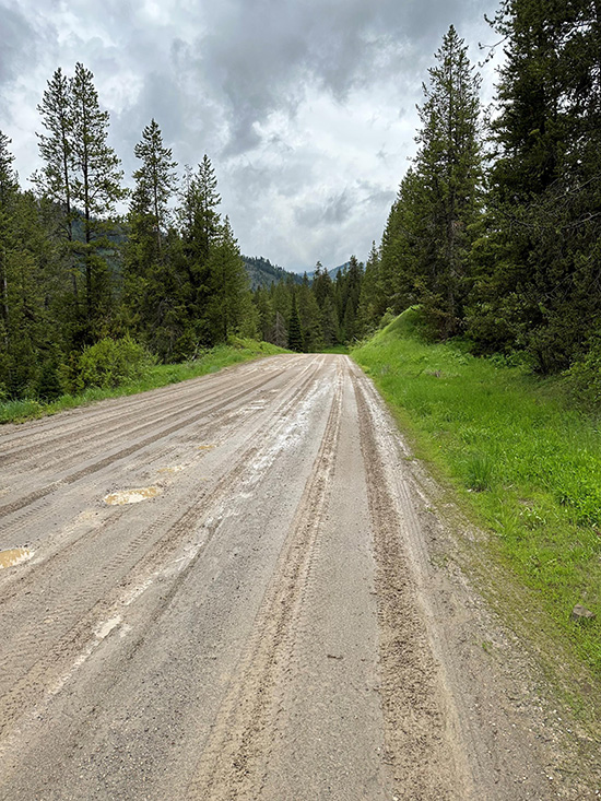 A scenic roadway on the Bridger-Teton National Forest.