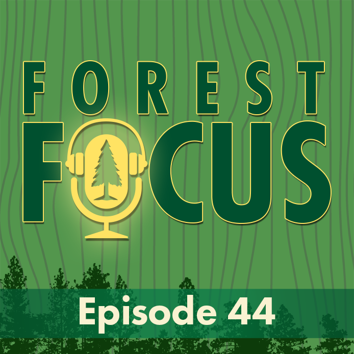 Forest Focus Episode 43.