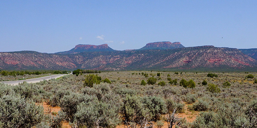 Green shrubs stand in the foreground of two mountains known as Bears Ears.