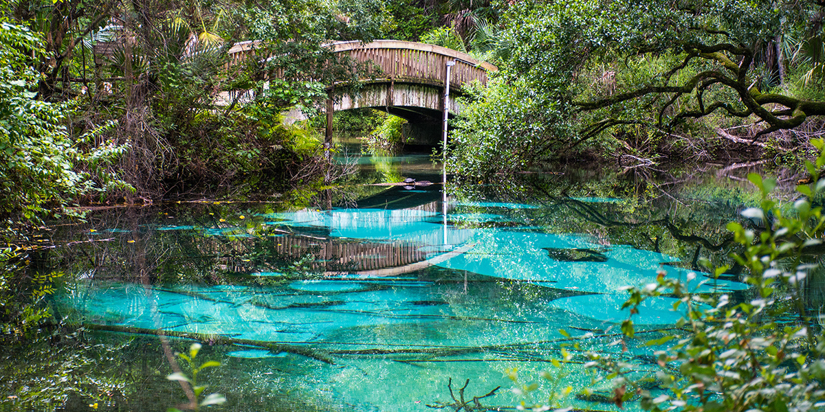 Beautiful blue spring with a wooden bridge in background.