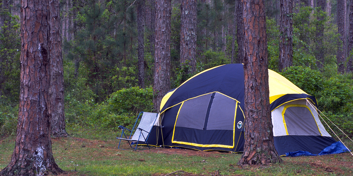 A blue tent between trees.