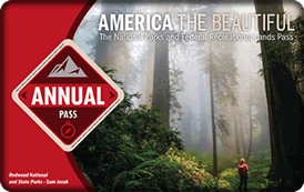 Graphic: Annual Pass Image