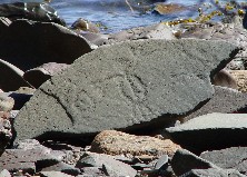 A stone with a weathered petroglyph lies on a rocky beach.