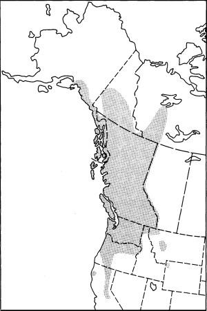 Figure 1. - Distribution of the black-headed budworm in western North America.