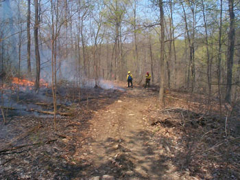 burn at Boone Creek barrens