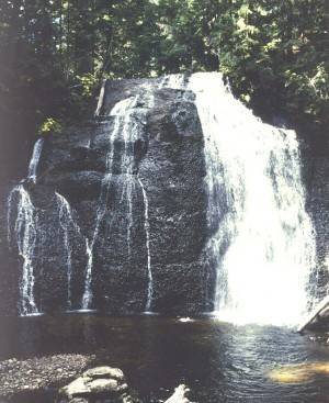 Picture of Langfield Falls