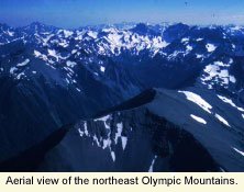 Aerial view of Olympic Mtns.