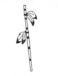 A coup stick with feathers