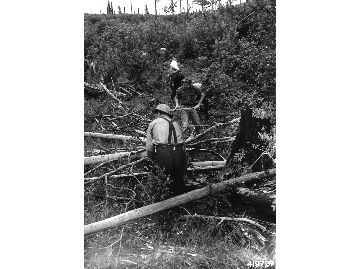 Members of Conscientious Objectors camp demonstrating Òone-lick methodÓ of fire line building for Forest Service Reserves. Larch Mountain.