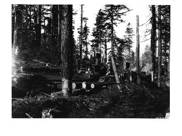 View of road donkey and loading donkey at logging operation of Bridal Veil Lumbering Co. near Palmer, Oregon.
