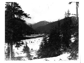 Looking north from Stevens Pass cabin site.