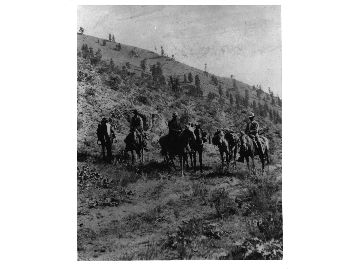Divide four miles south of Lake Chelan, Chelan County. Traveling outfit of field party showing saddle and pack horses.