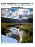 Tribal Relations Strategic Plan Assessment Thumbnail Image shows a stream reflecting clouds