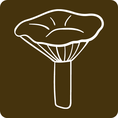 Graphic: A button with a drawing of a mushroom.