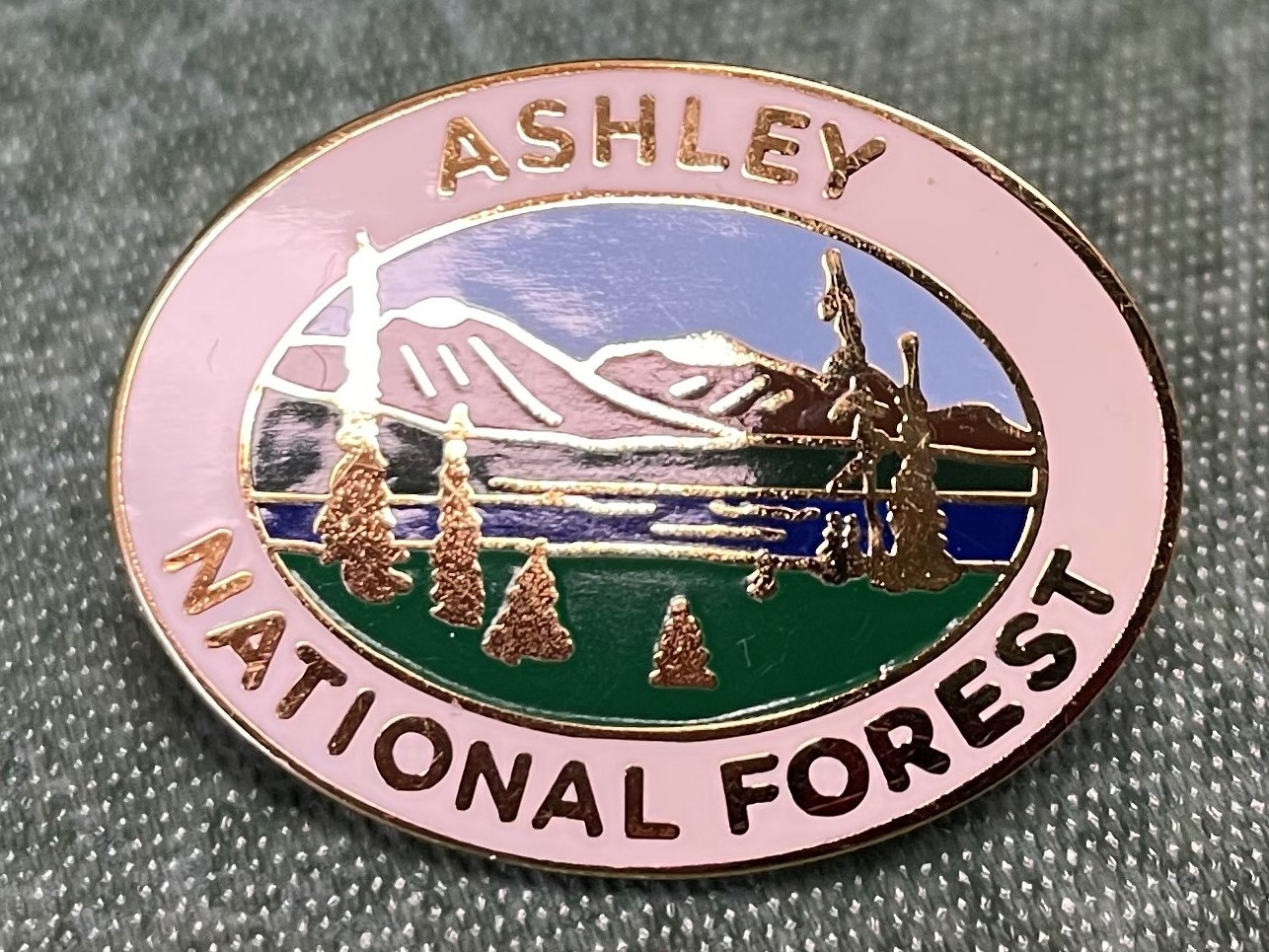 Photo of Ashley National Forest pin