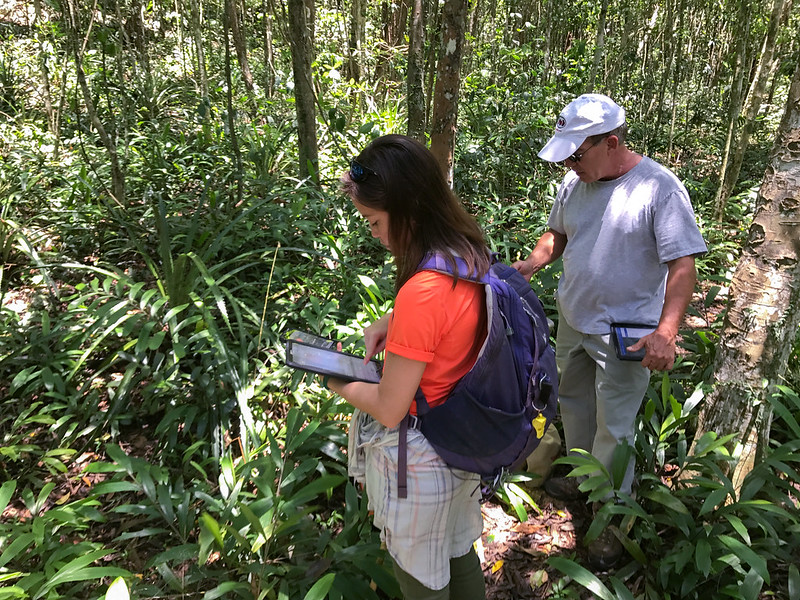 People doing monitoring in the forest