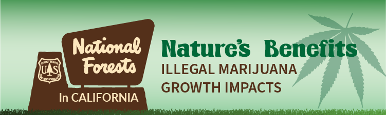 Graphic for Illegal Marijuana Growth Impacts