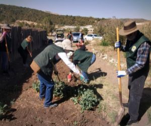 Friends of Tijeras Pueblo are planting plants in a garden with shovels