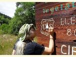 volunteer paints a Forest Service sign