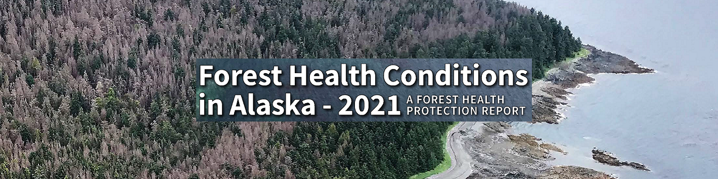 Forest Health Conditions in Alaska 2021 report cover.