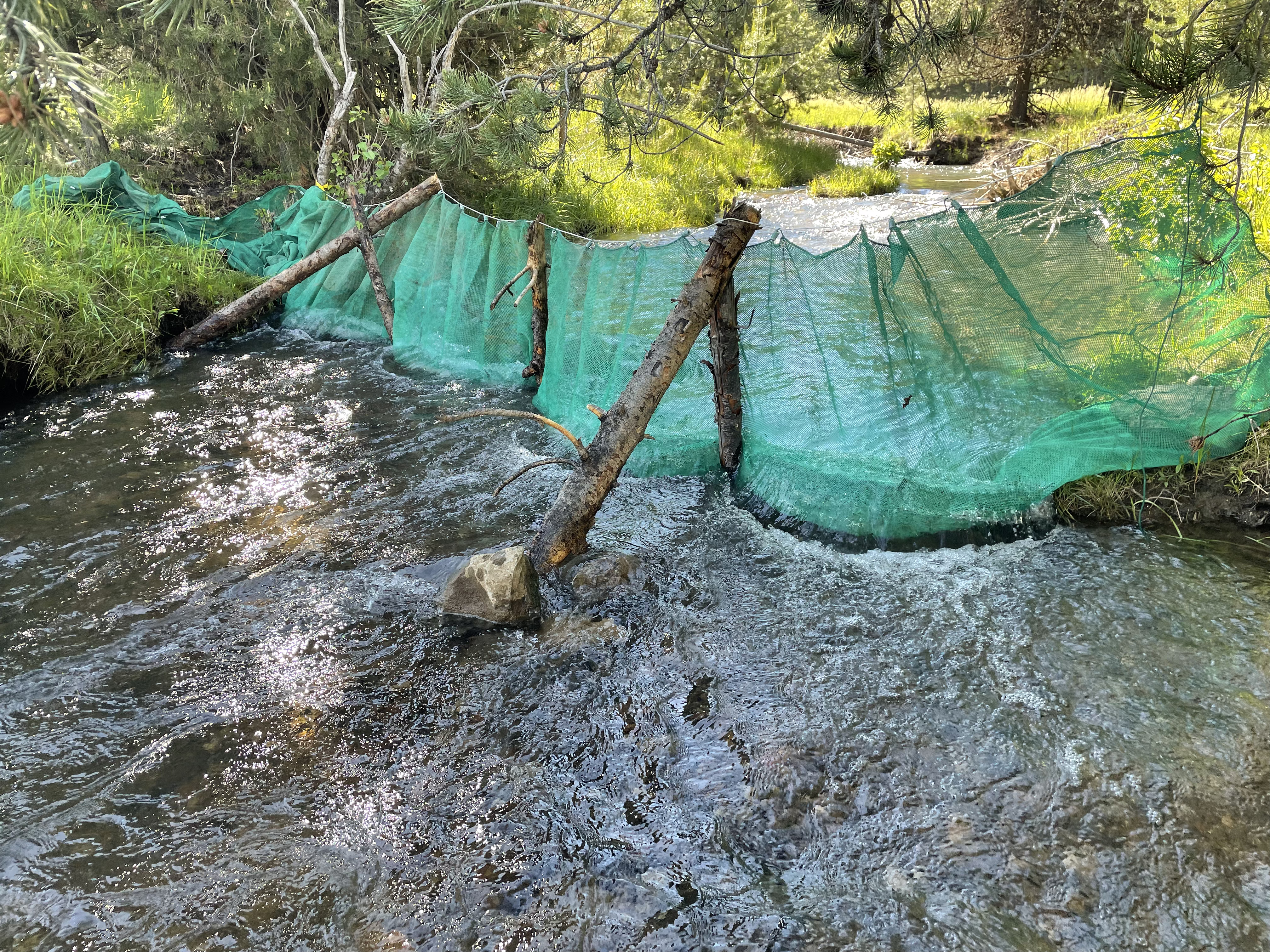 A block net – used to keep fish out of the work area.