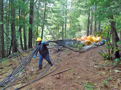 Forest Service personnel, joined by representatives of other federal and civilian partners, cleaned more than 6,000 pounds of trash and 7,000 pounds of irrigation pipes from an illegal marijuana cultivation site on the Lassen National Forest in 2016.
