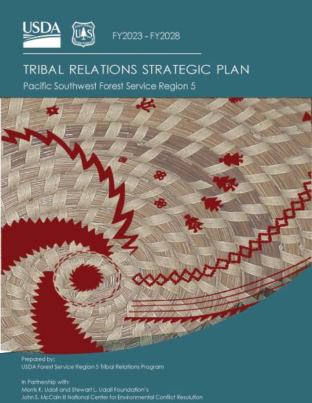 Front page of the Region 5 Tribal Strategic Plan features a basket design graphic