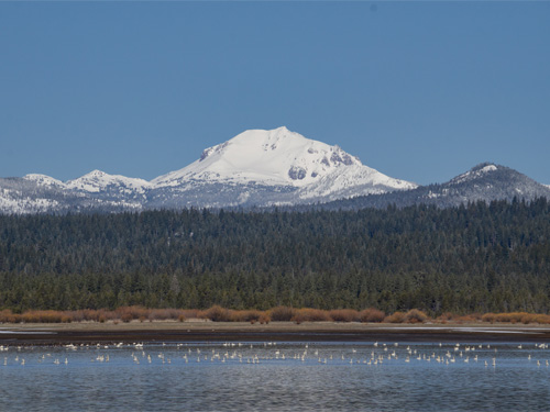 Image of Almanor Lake with Mount Lassen in the background