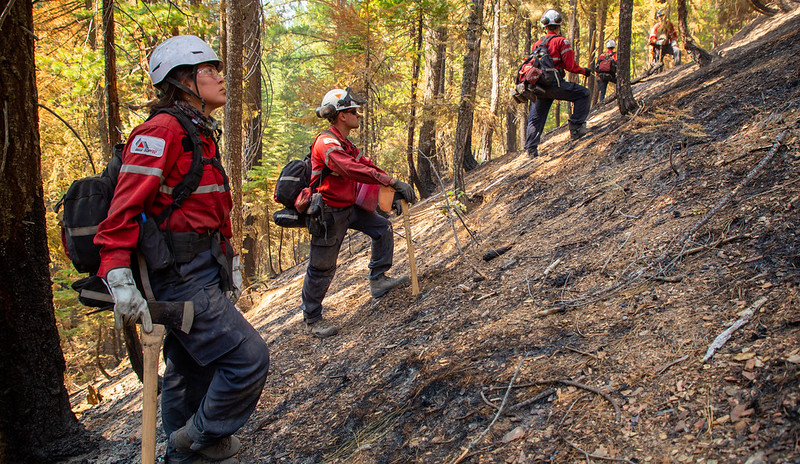 Fire crew, axes under hand, work up the steep forest terrain.
