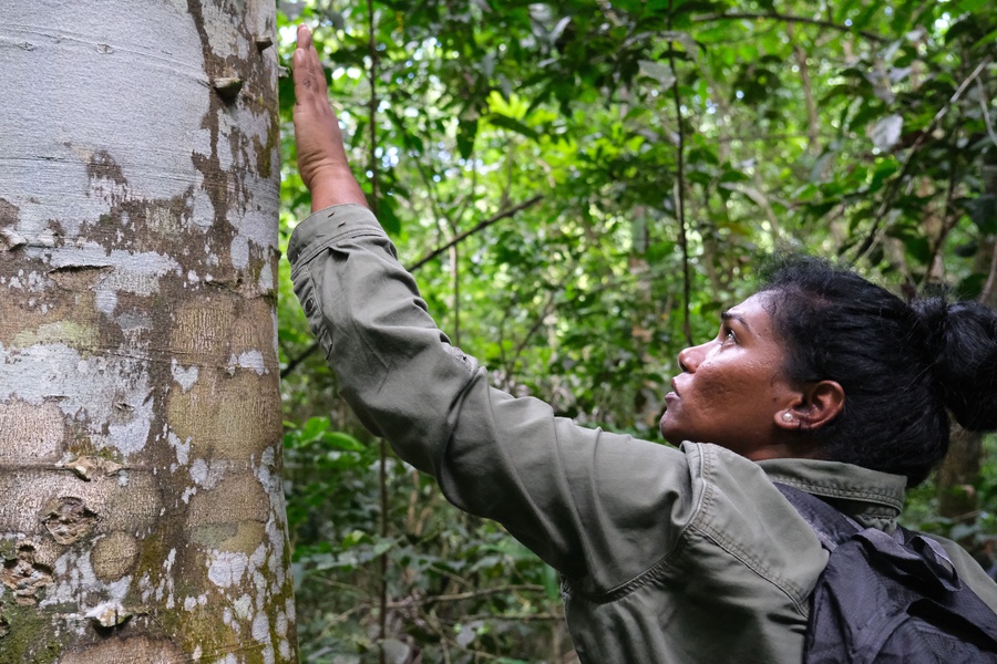 A young female scientist touching a tree