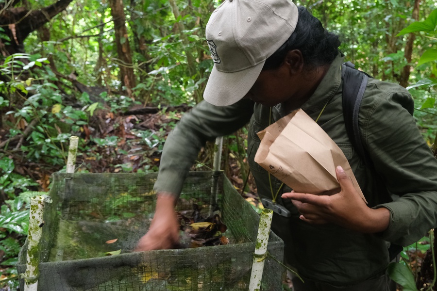 Bindiya collecting leaf litter samples in the forest.