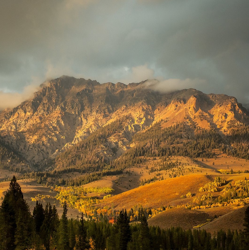 Evening light on a mountain range with trees in the foreground and dark skies above