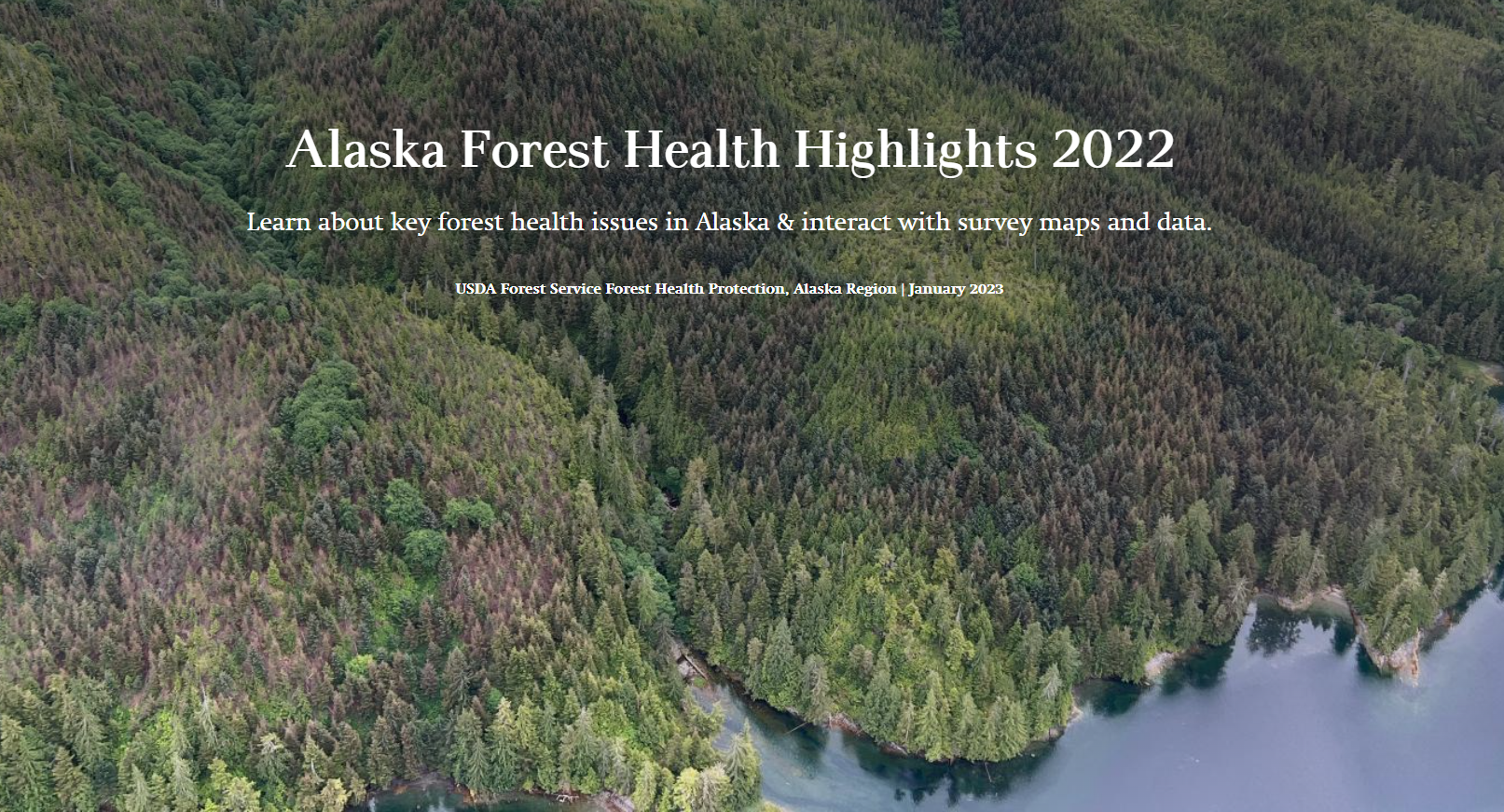 Cover of the 2022 Alaska Forest Health Storymap