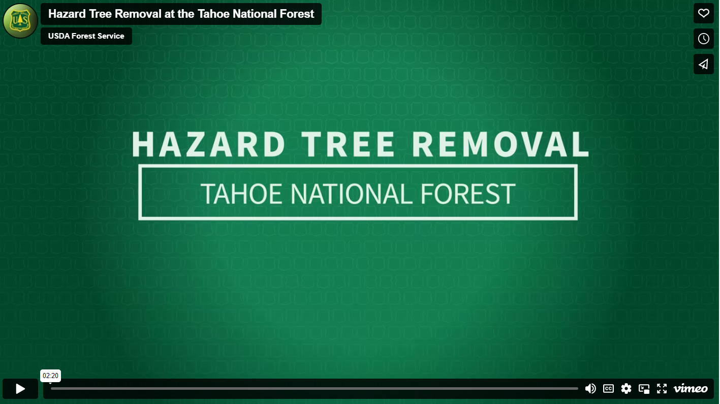 Graphic for Episode 15 Hazard Tree Removal at the Tahoe National Forest of California Forest News