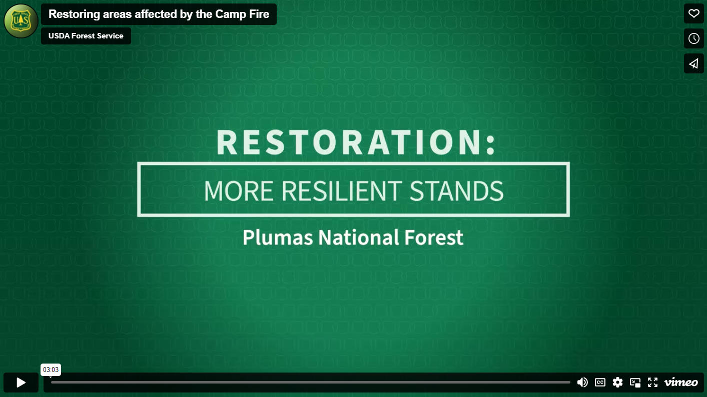 Video player for Forest News Episode 17 on the topic of Restoring areas affected by the Camp Fire