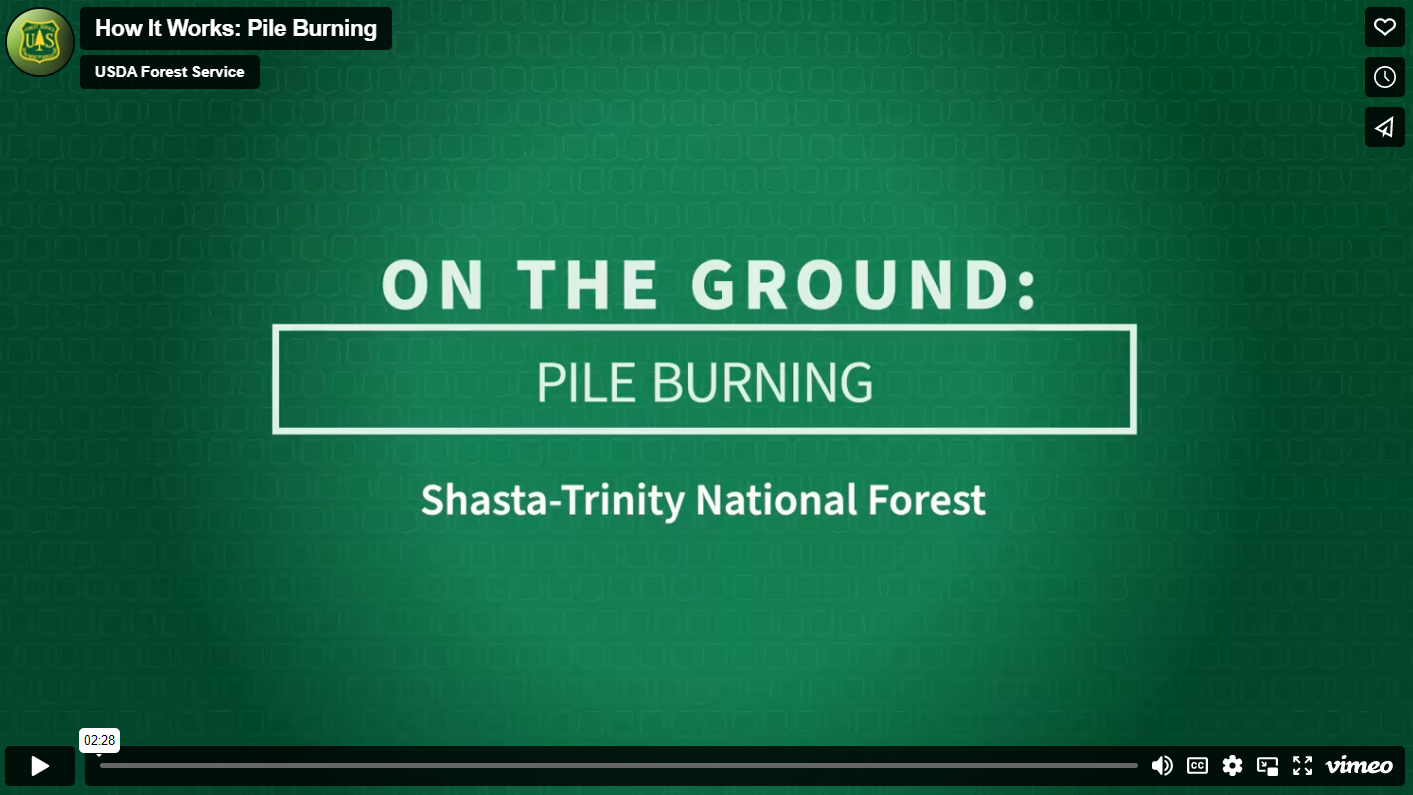 Video player for Forest News Episode 18 on the topic of How It Works: Pile Burning
