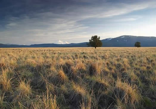 Butte Valley National Grassland
